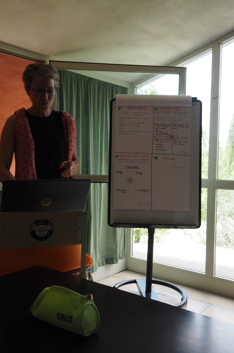 A facilitator presenting next to a flipchart